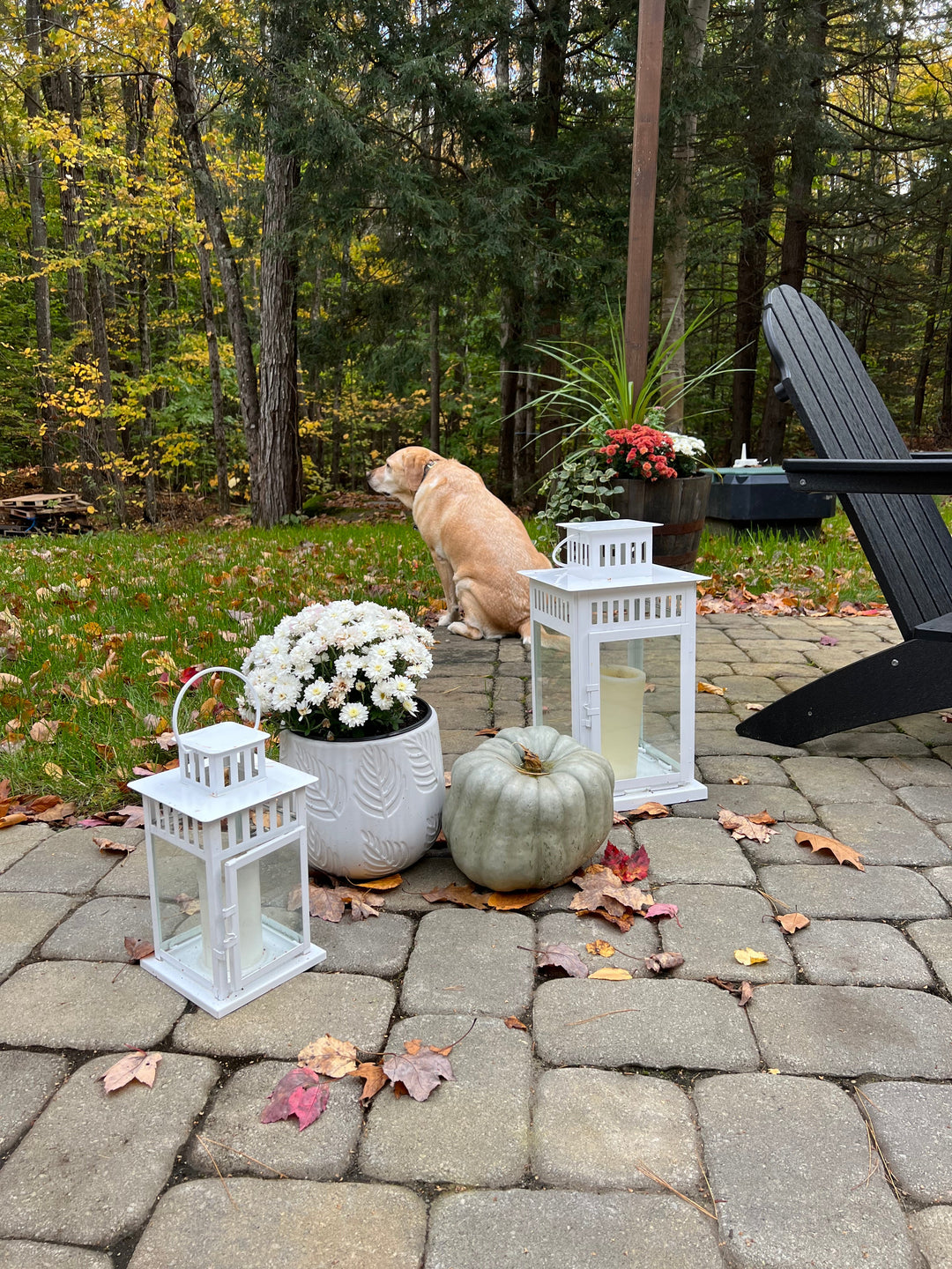 Creating the cozy fall scenes you see in the movies