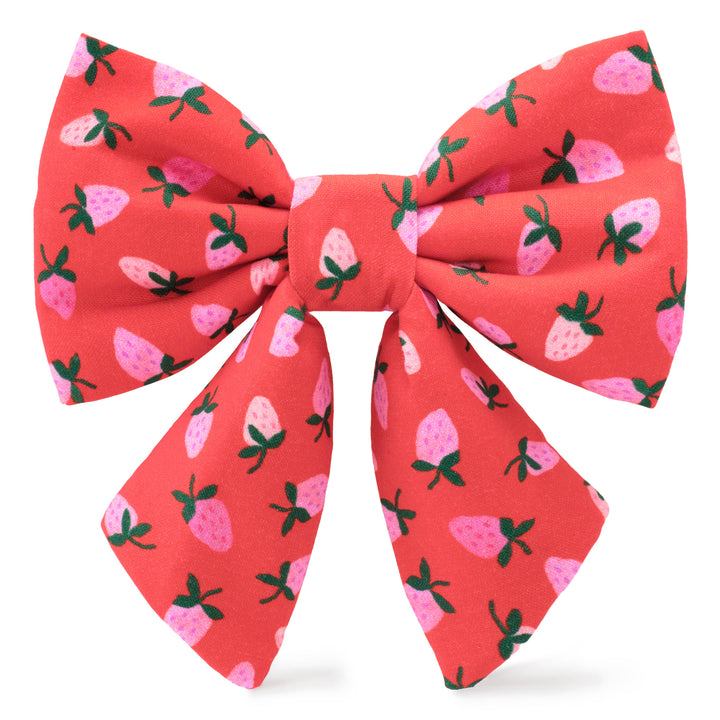 Berry Sweet Valentine's Day Lady Dog Bow