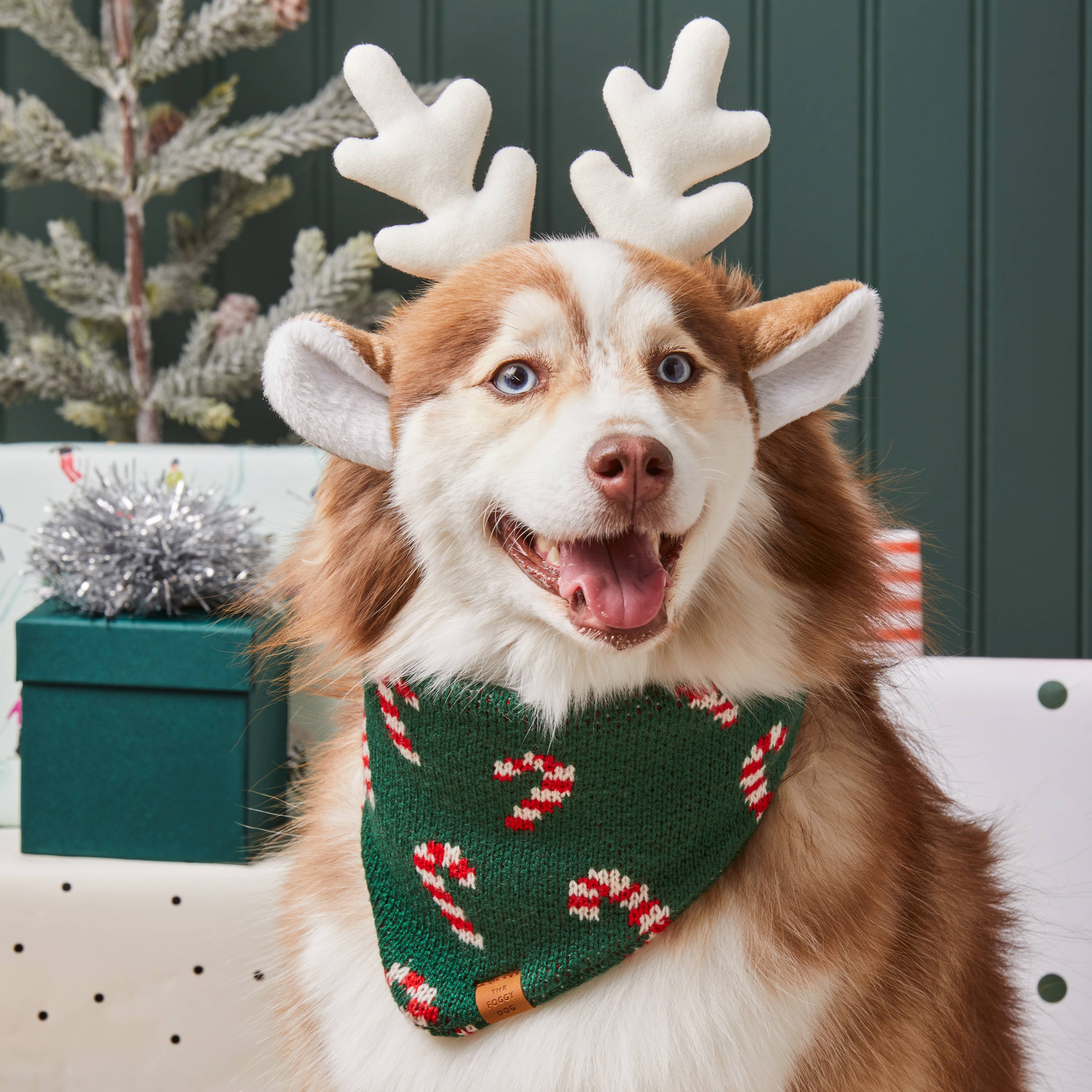 Foggy Dog 'Candy Cane' Knit Holiday Dog Bandana