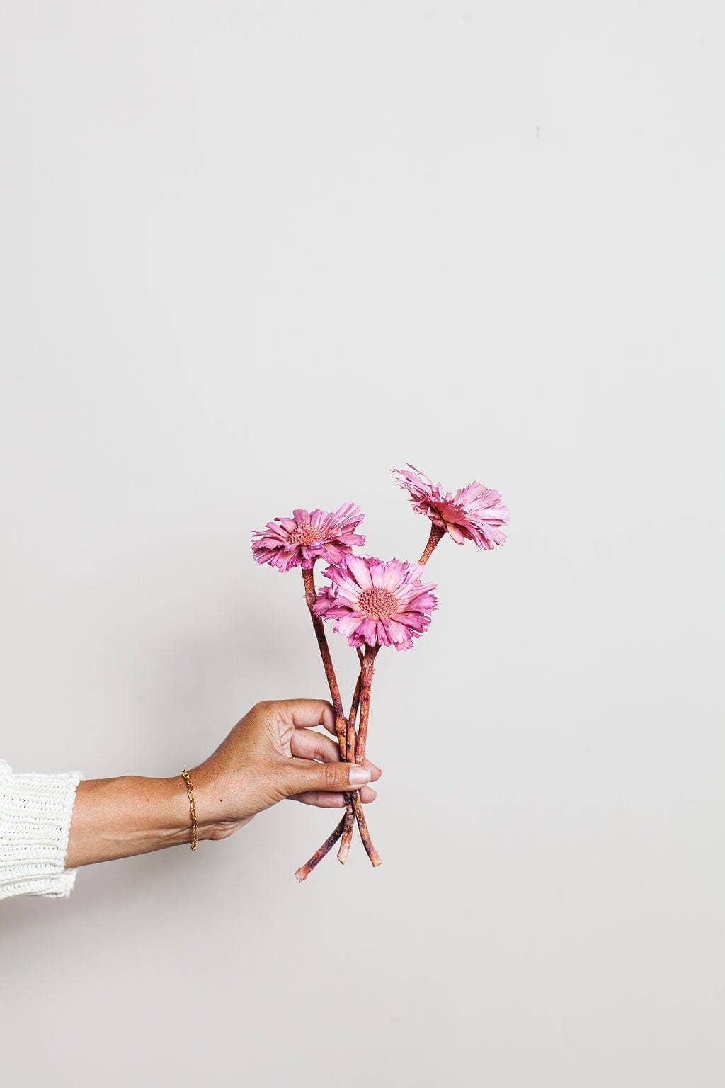 Pink Dried Protea Rosettes