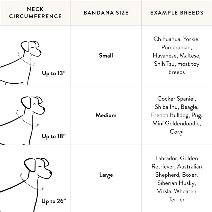 Green Seersucker Dog Bandana