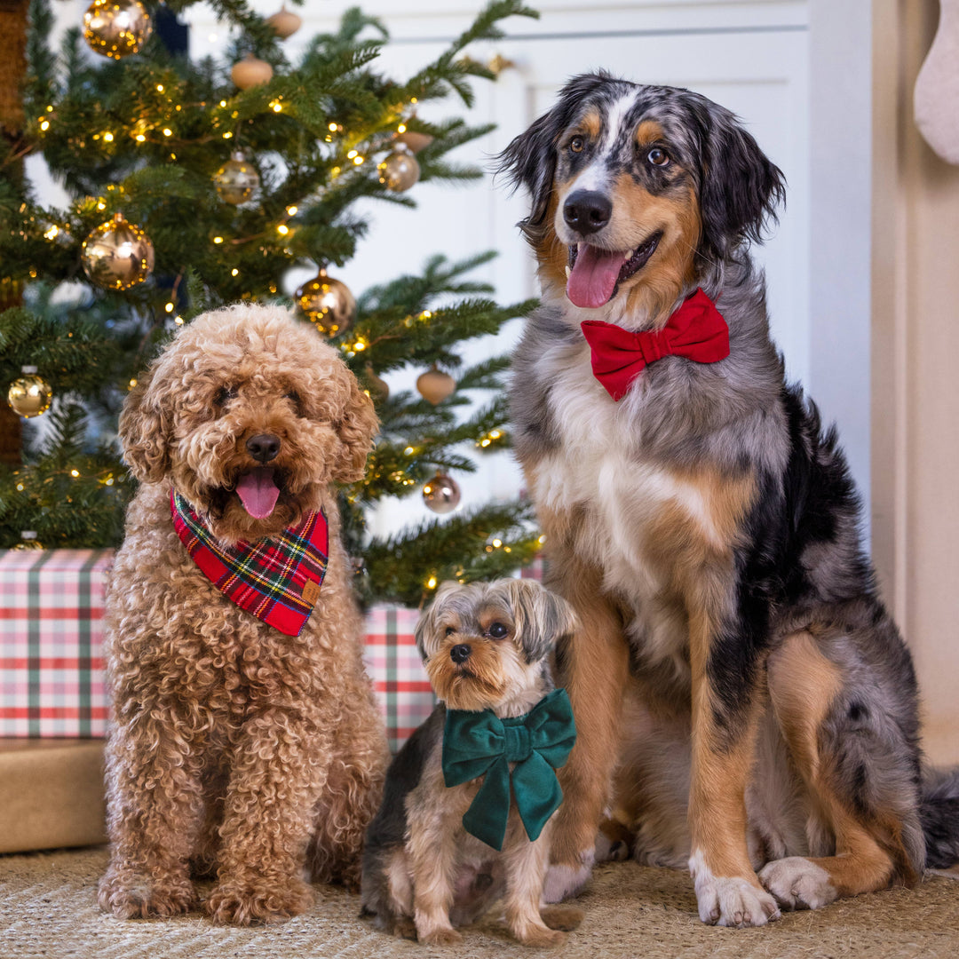 Foggy Dog 'Tartan Plaid' Flannel Holiday Dog Bandana