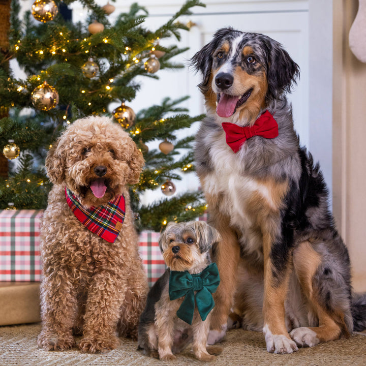 Foggy Dog 'Tartan Plaid' Flannel Holiday Dog Bandana