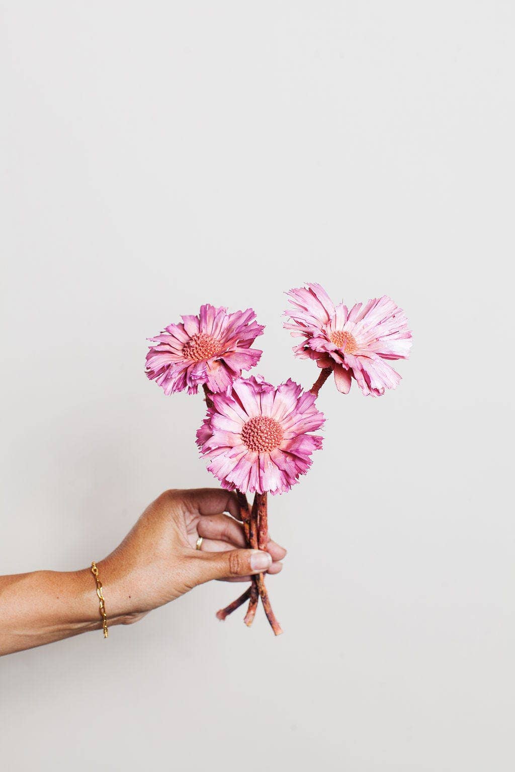 Pink Dried Protea Rosettes