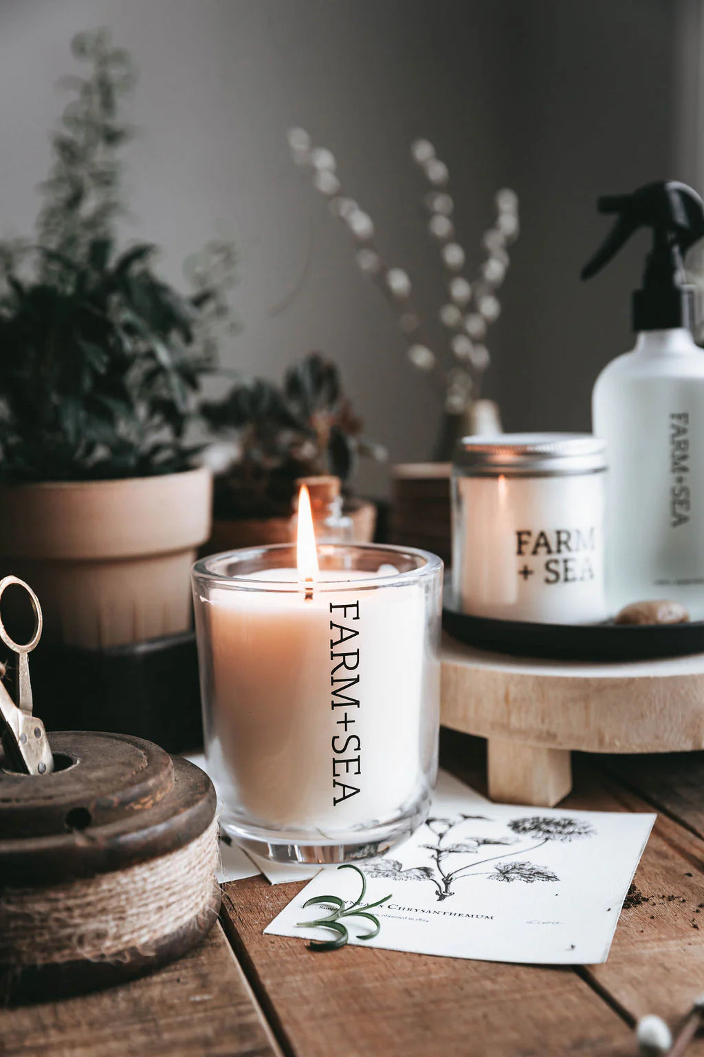 Farm + Sea Candle - Ocean Bluff