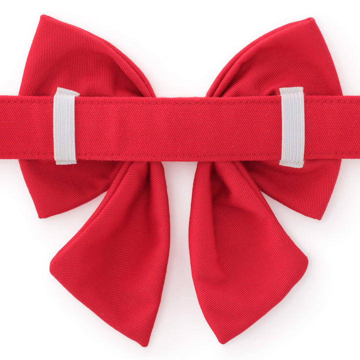 Hearts Embroidered Lady Dog Bow
