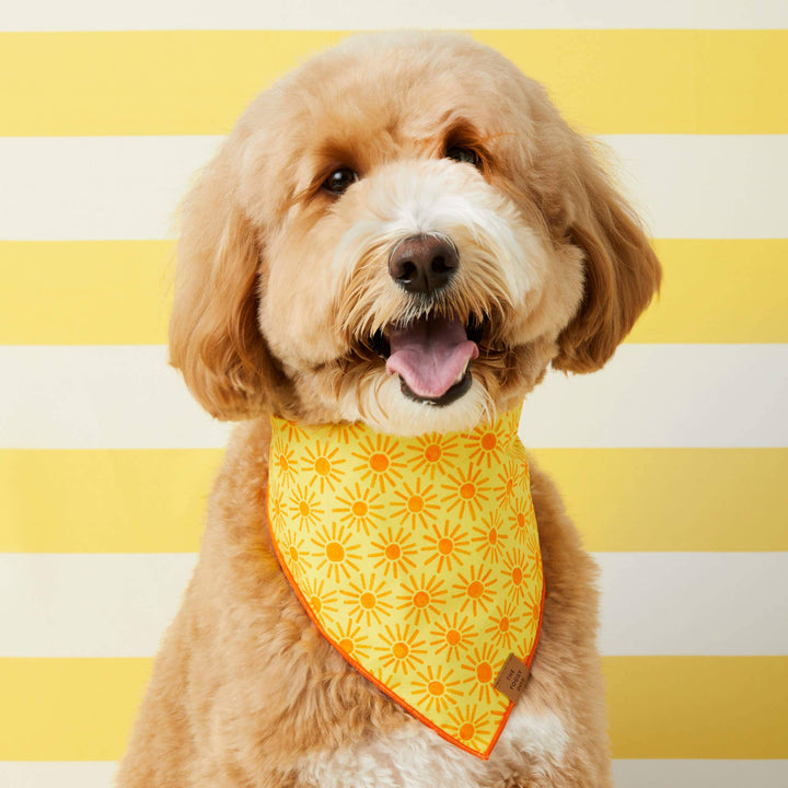 Here Comes the Sun Dog Bandana