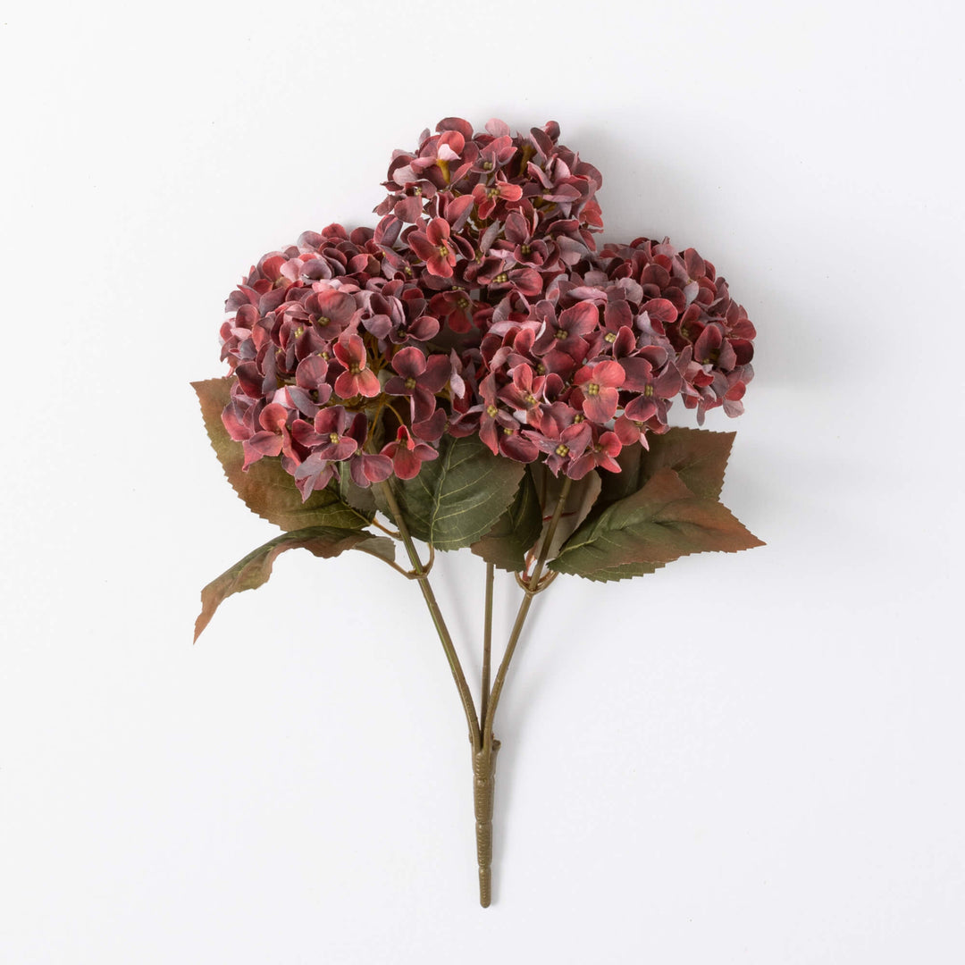 Hydrangea Bush, Maroon