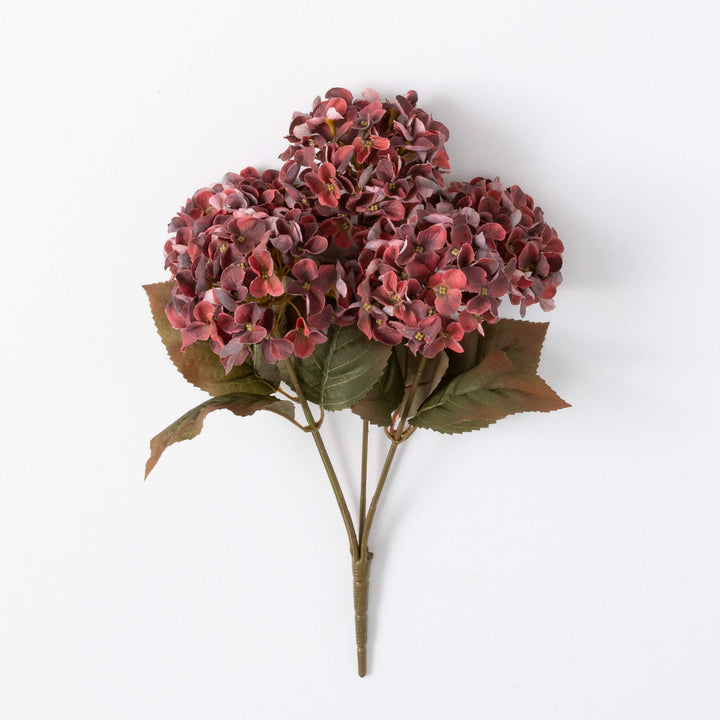 Hydrangea Bush, Maroon