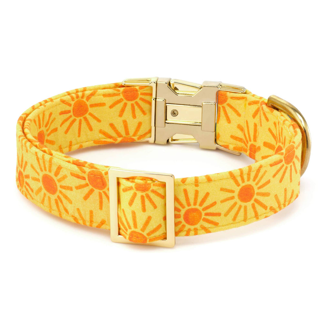 Here Comes the Sun Dog Collar