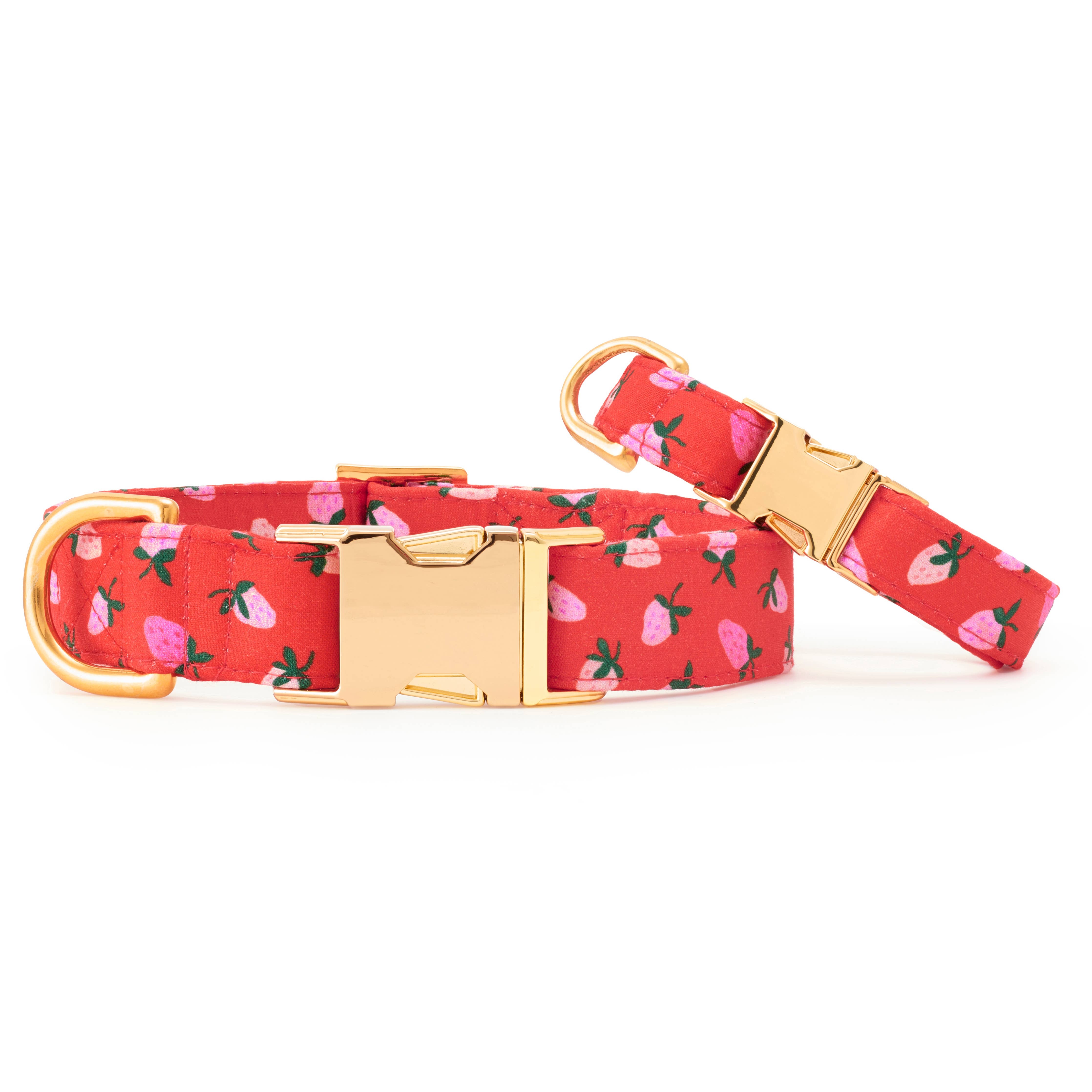 Berry Sweet Valentine's Day Dog Collar