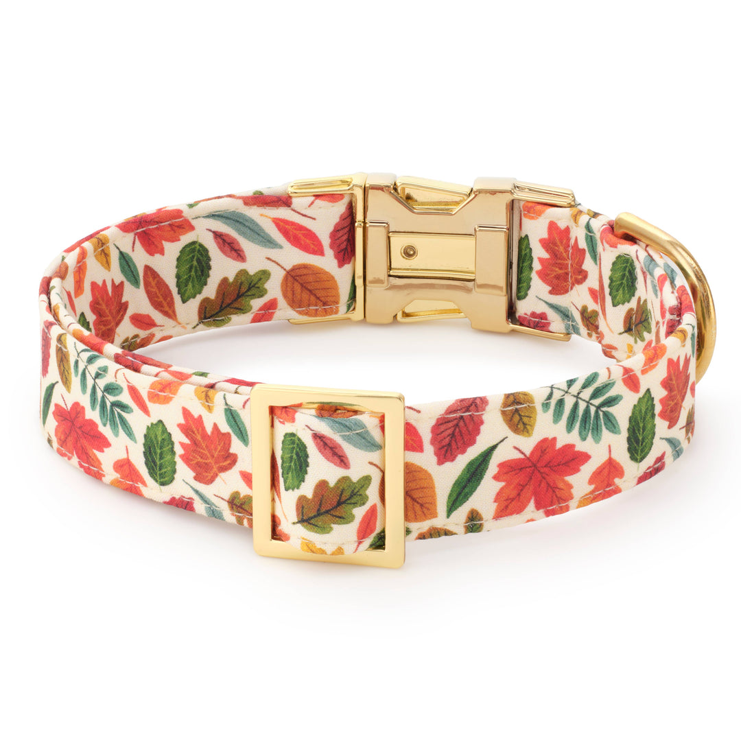 Falling Leaves Dog Collar