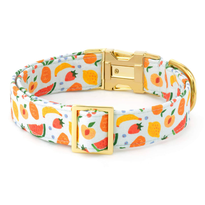 Fruit Salad Summer Dog Collar