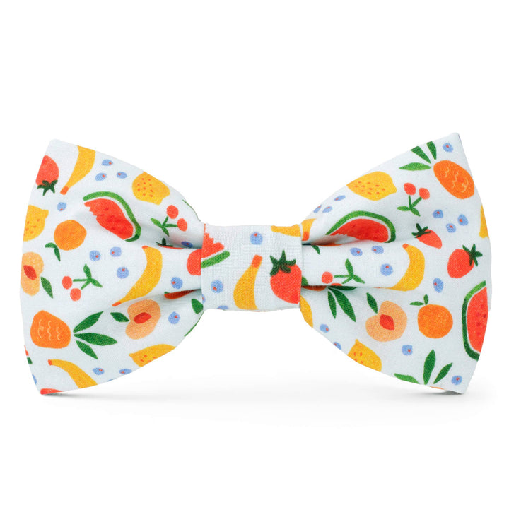 Fruit Salad Summer Dog Bow Tie