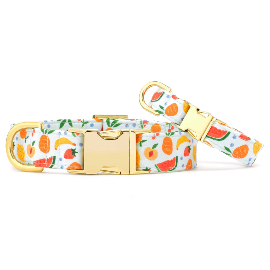 Fruit Salad Summer Dog Collar