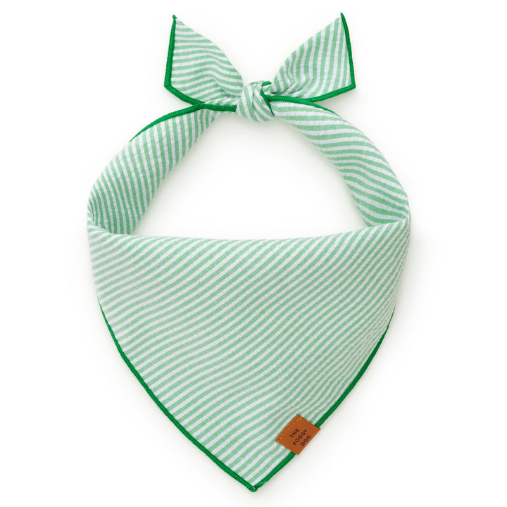 Green Seersucker Dog Bandana