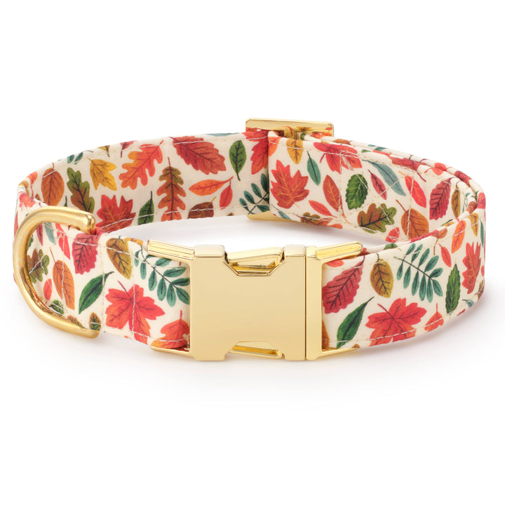 Falling Leaves Dog Collar