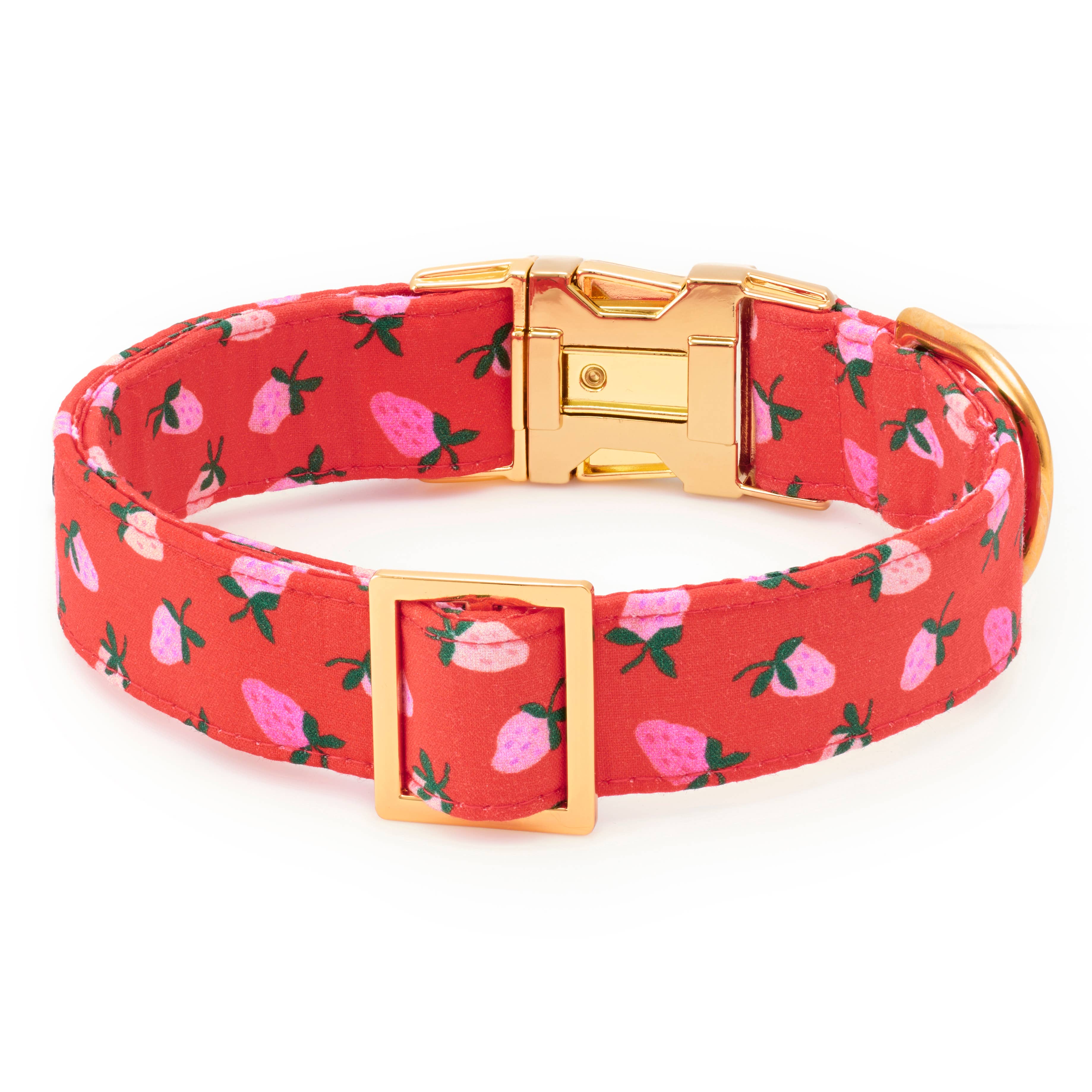 Berry Sweet Valentine's Day Dog Collar