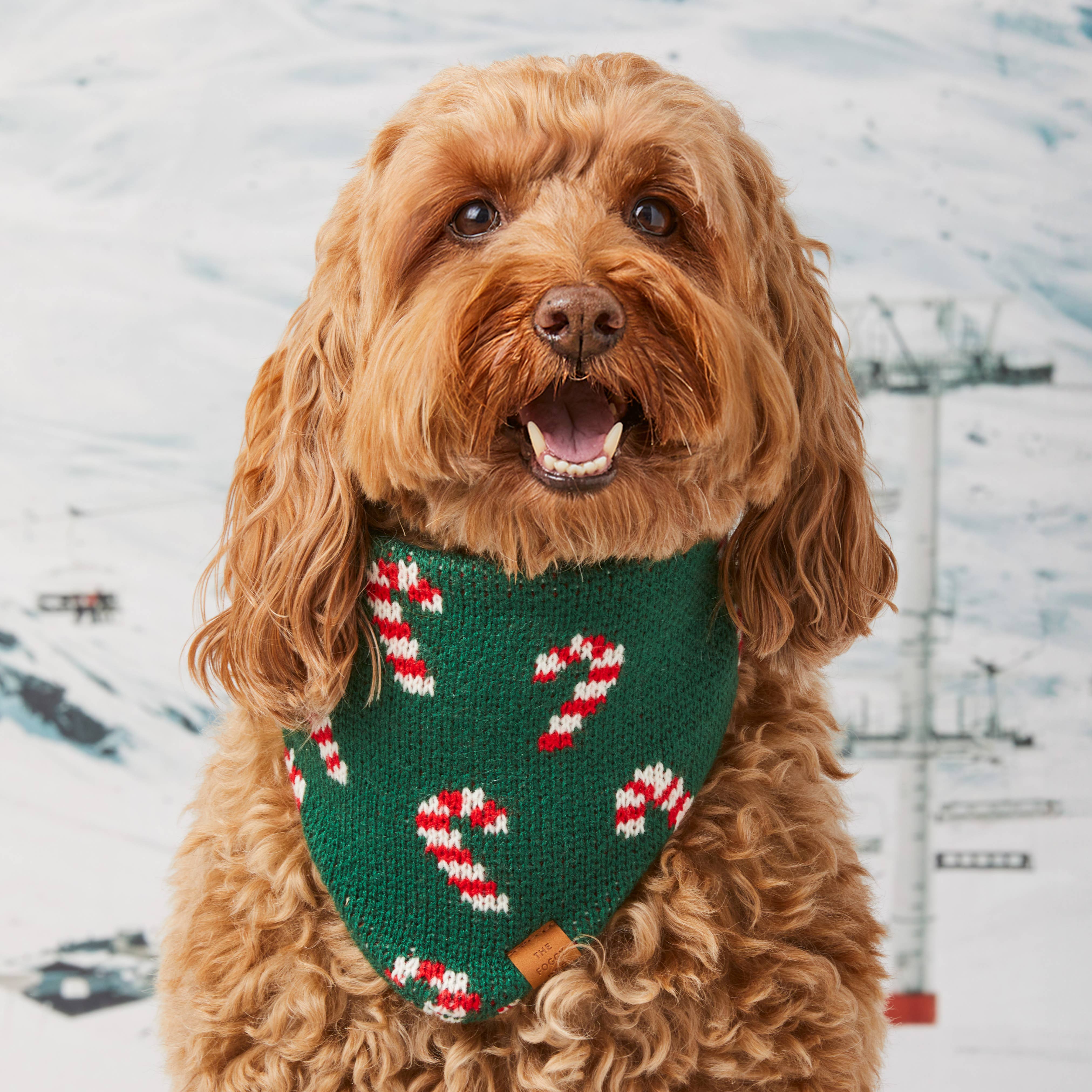 Foggy Dog 'Candy Cane' Knit Holiday Dog Bandana