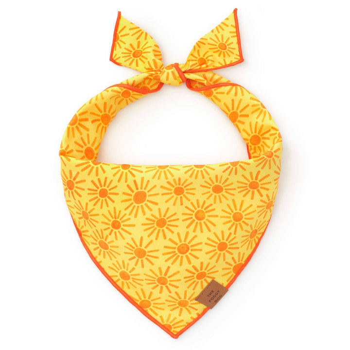 Here Comes the Sun Dog Bandana