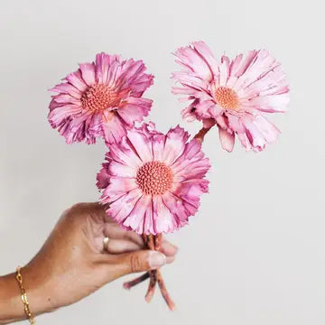 Pink Dried Protea Rosettes