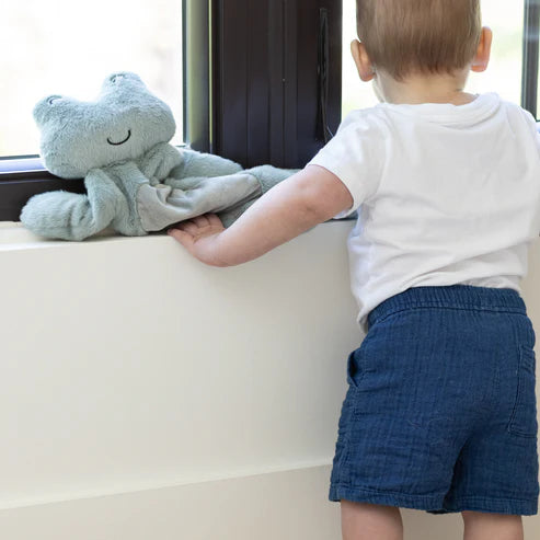 Bella Tunno Big Buddy Freddie the Frog