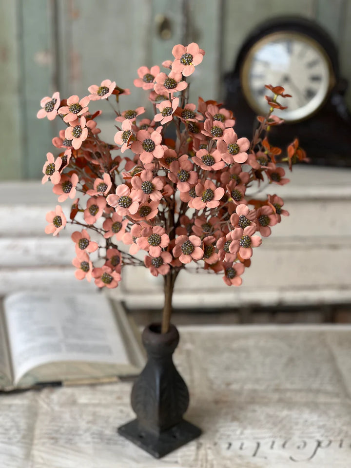 Timeless Blooms Bush - Coral