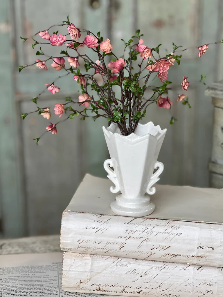 Pink Quince Bush