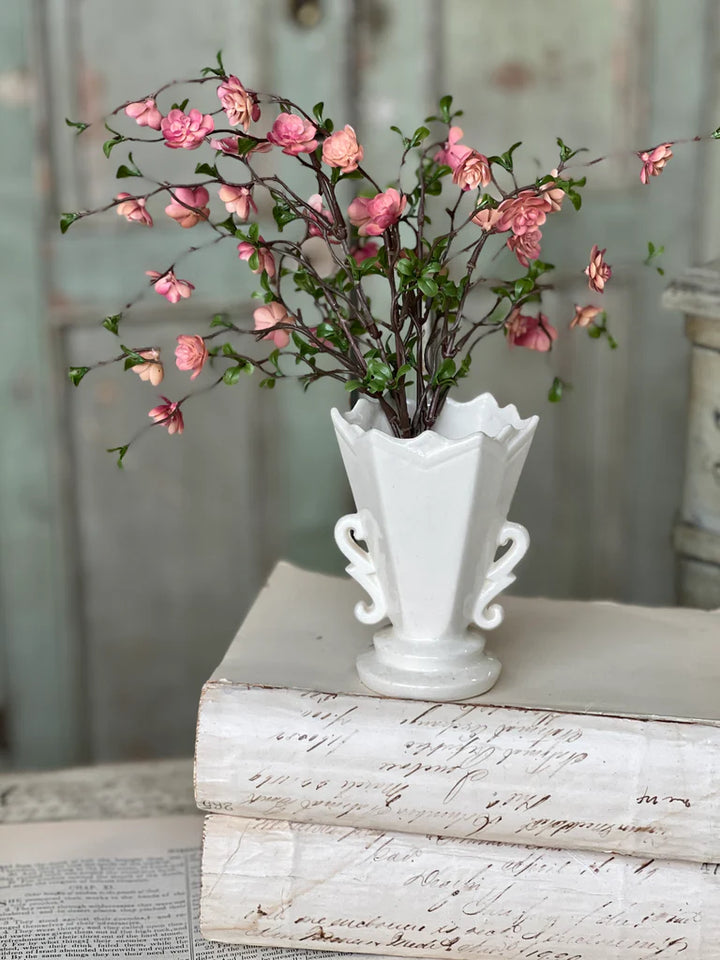 Pink Quince Bush