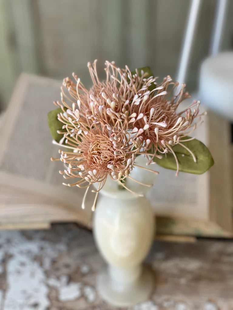Blush Protea