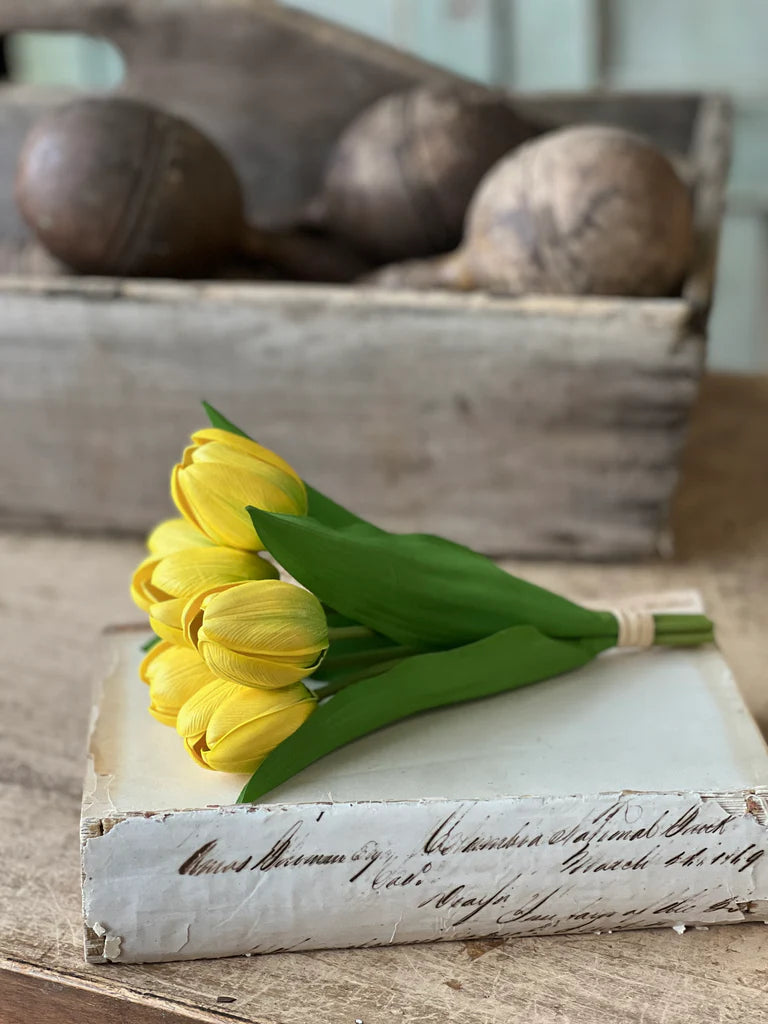 Petite Tulip Bundle | Yellow