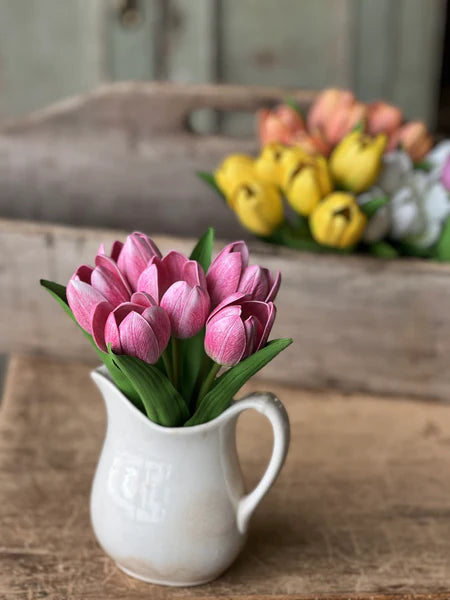 Pink Petite Tulip Bundle