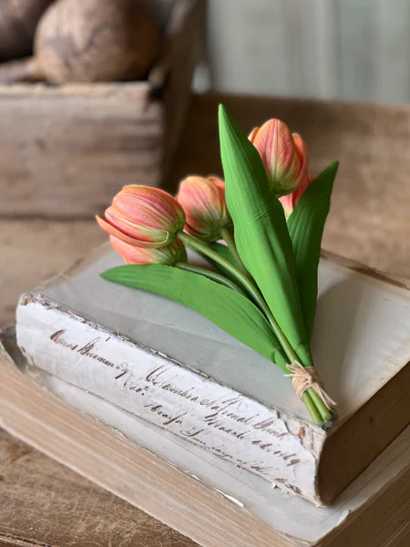 Orange Petite Tulip Bundle