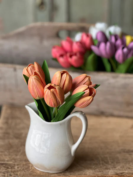 Orange Petite Tulip Bundle