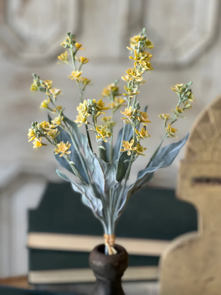 Yellow Starlet Flower Bundle