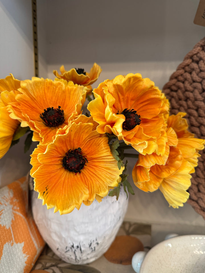 Yellow Poppy Bundle