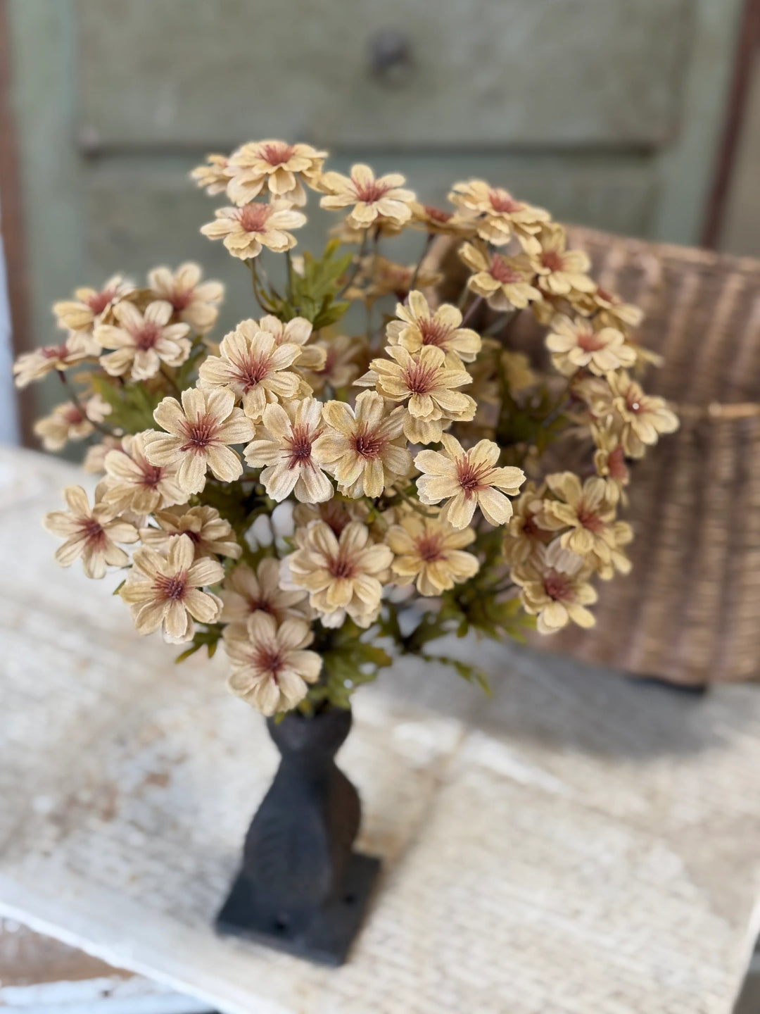 Courtland Cosmos | Flax
