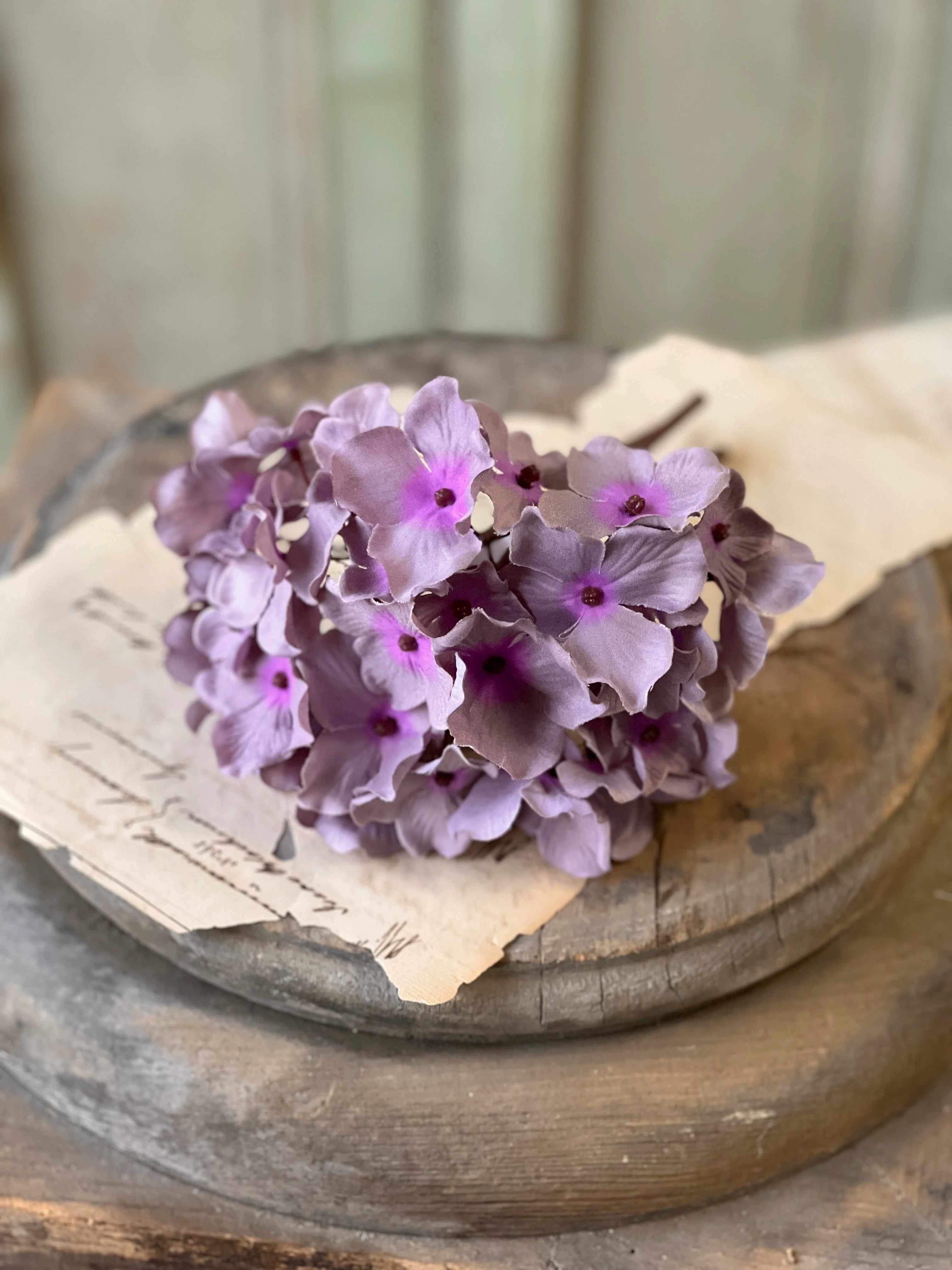 Periwinkle Mini Hydrangea