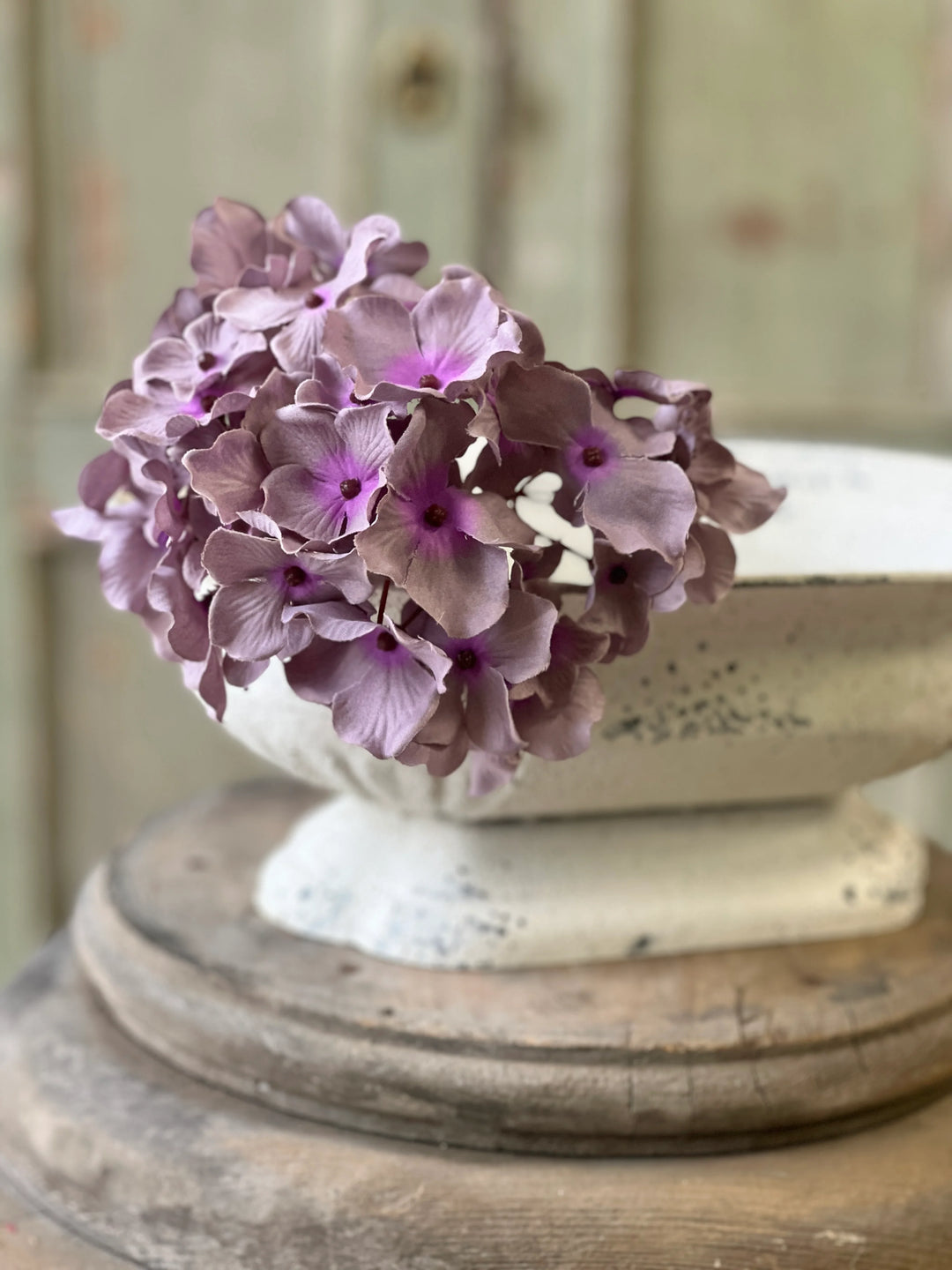 Periwinkle Mini Hydrangea