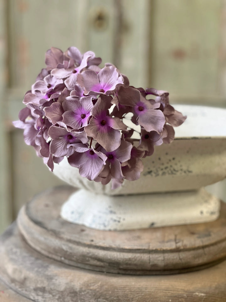 Periwinkle Mini Hydrangea