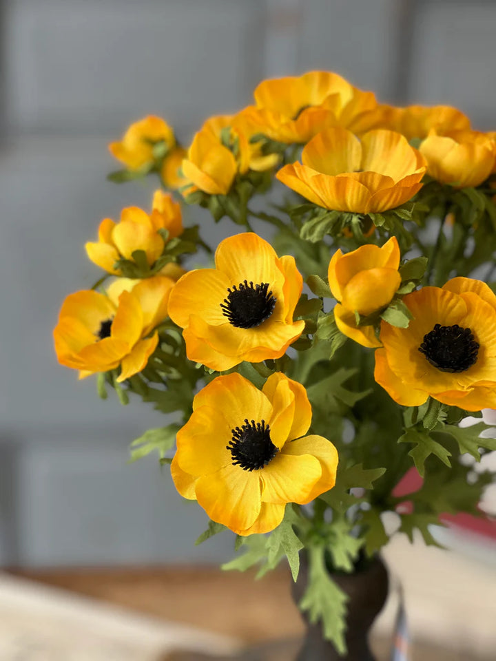Marigold Adonis Blooms