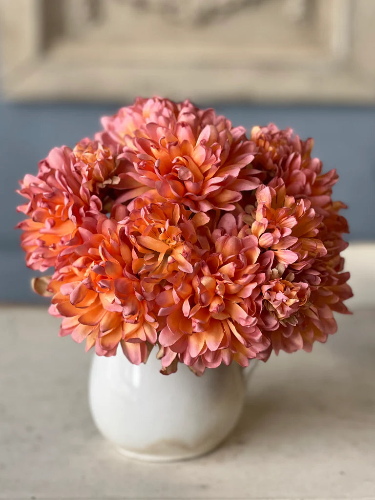 Sunset Pink Chantilly Mum Bush