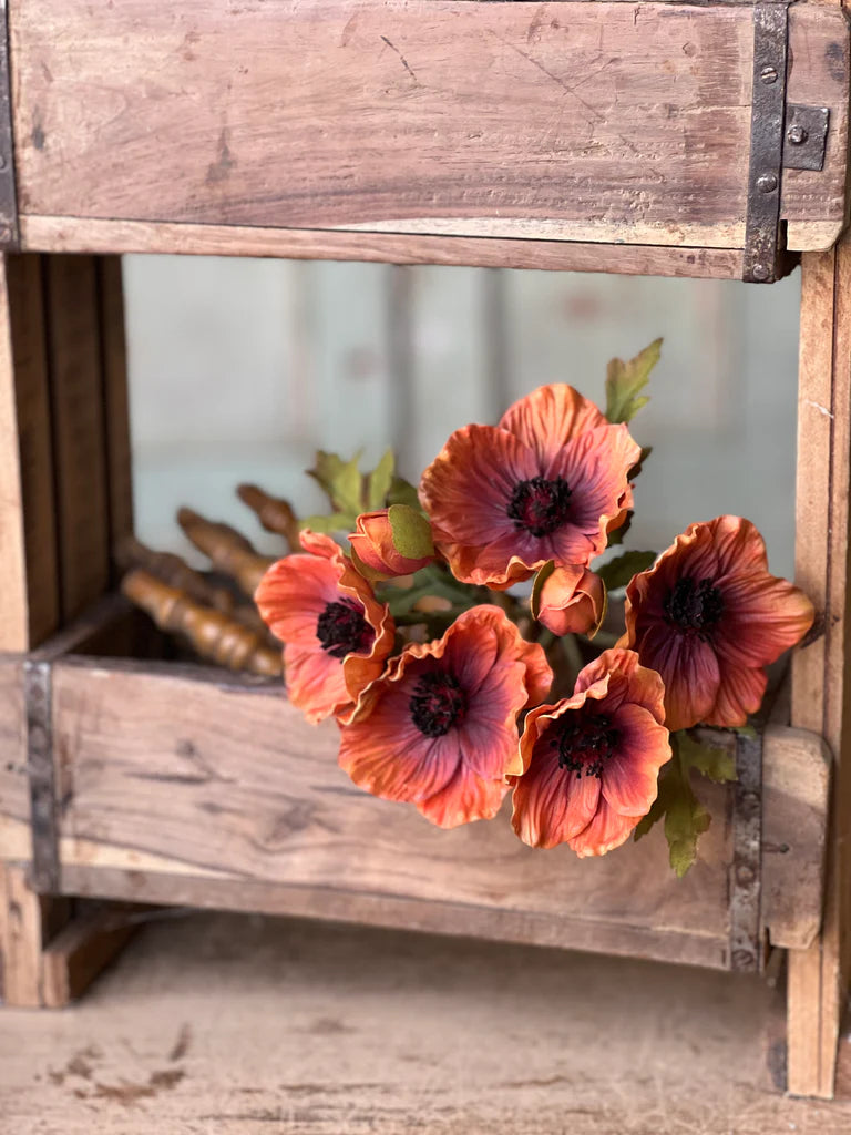 Autumn Poppy Bundle | Terracotta