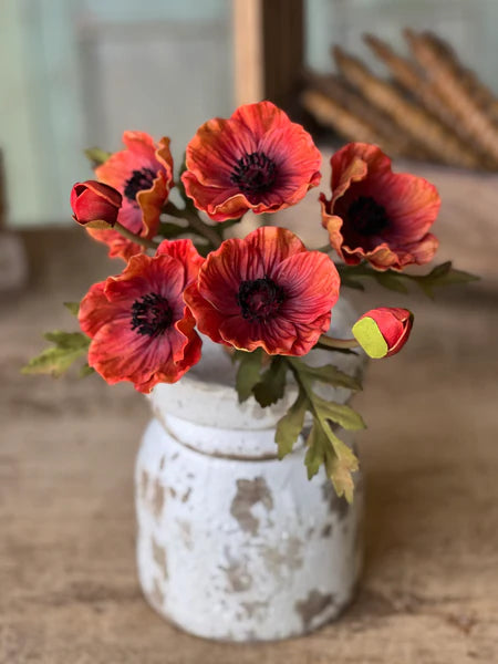 Red Luring Poppy Bundle