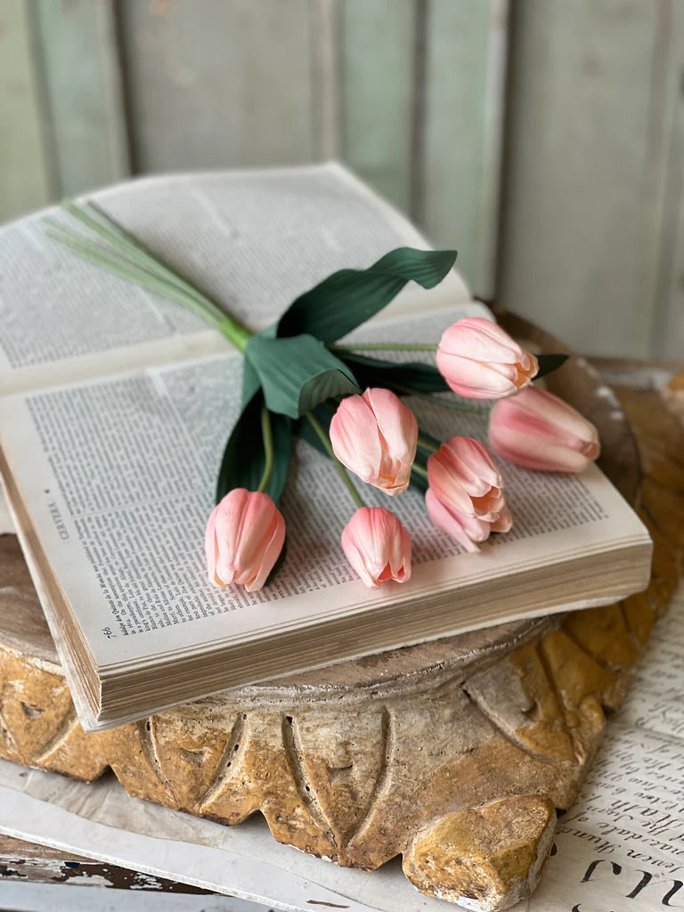 Light Coral Triumph Tulip Bundle