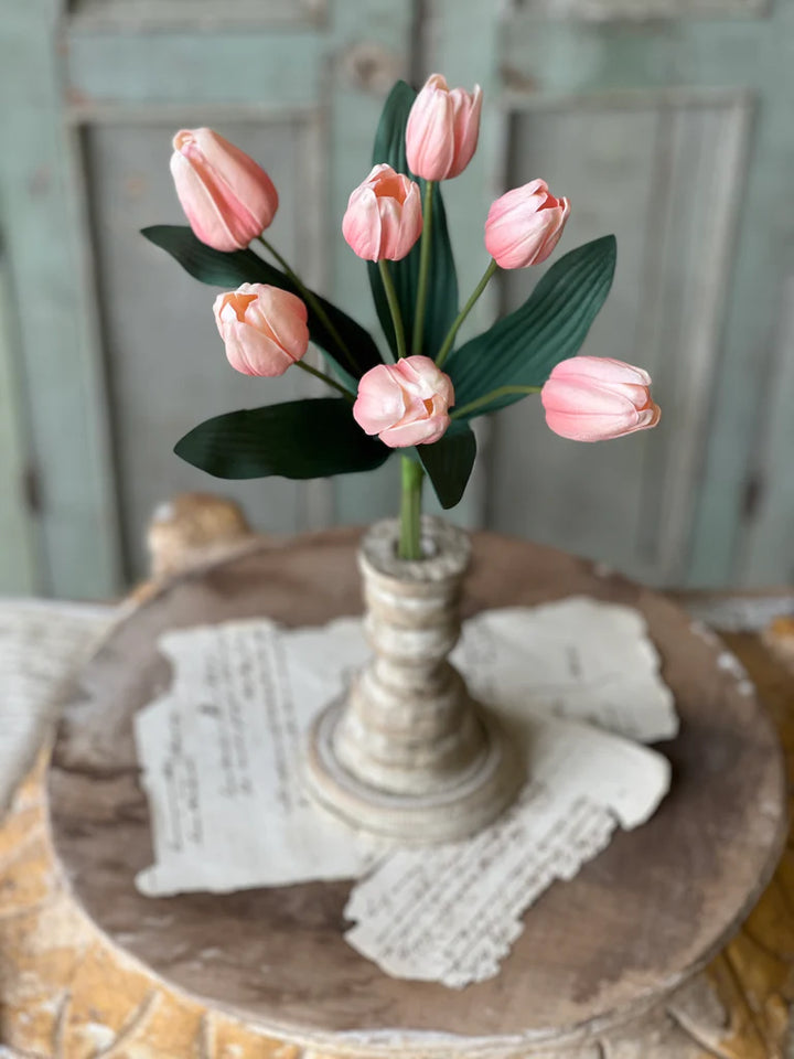 Light Coral Triumph Tulip Bundle