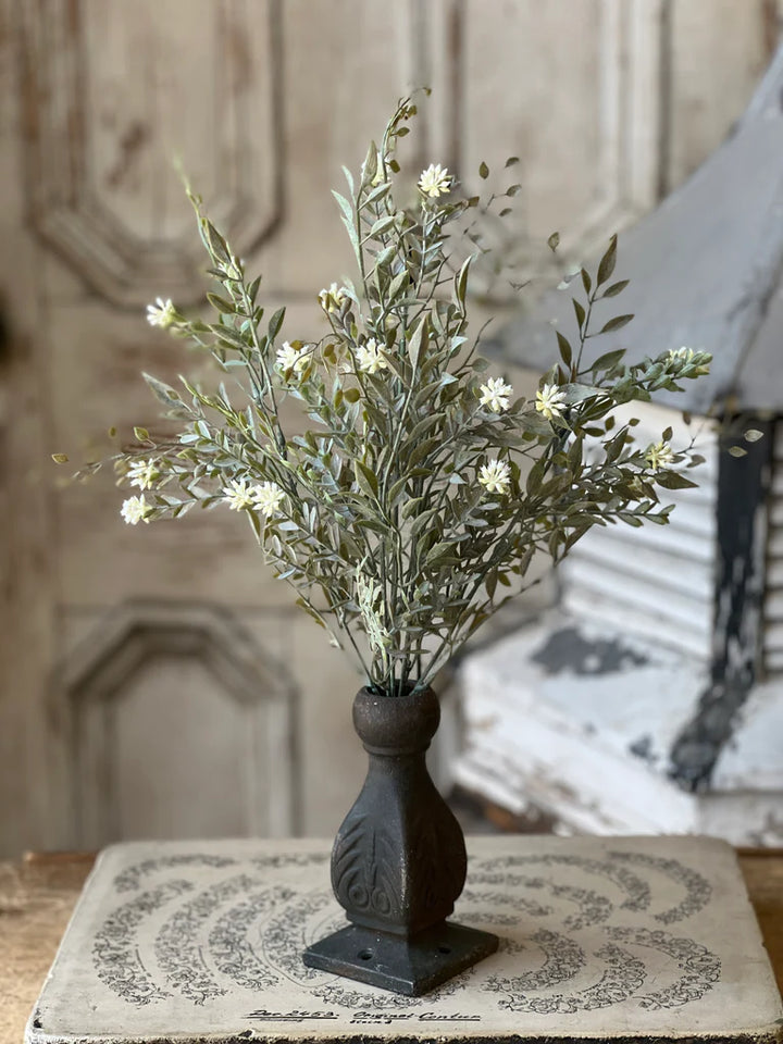 Cream Chadwick Buds Bush