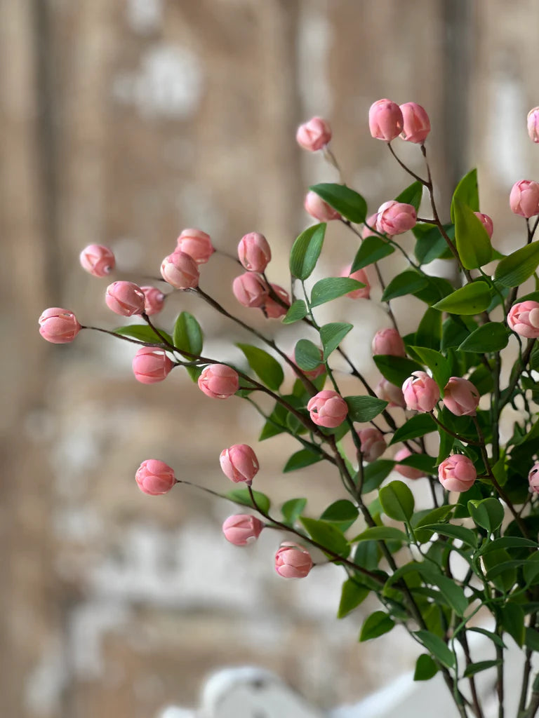 Pink Billows Buds Bush