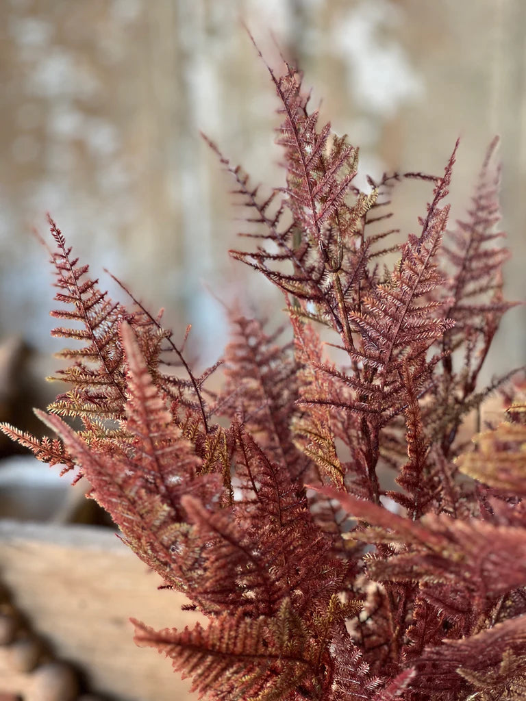 Fernbank Bush | Bordeaux