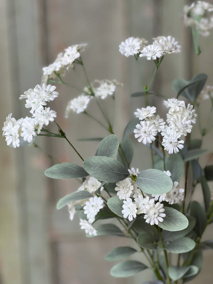 Cream Layette Daisy Bush